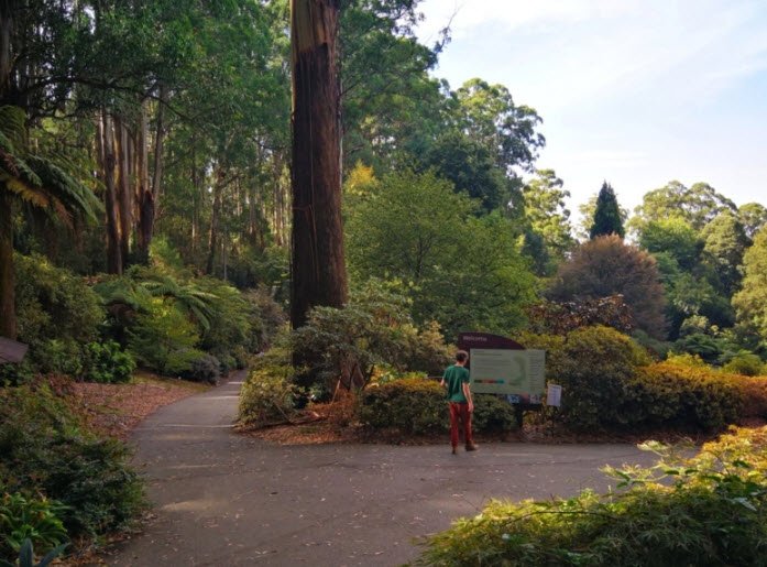 Dandenong Ranges Botanic Garden, Australia